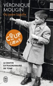 critique de &quot;Où passe l&#39;aiguille&quot;, dernier livre de Véronique Mougin - onlalu