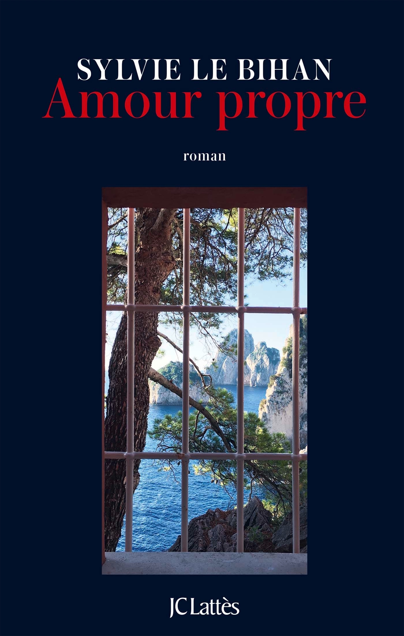 critique de "Amour propre", dernier livre de Sylvie Le Bihan - onlalu